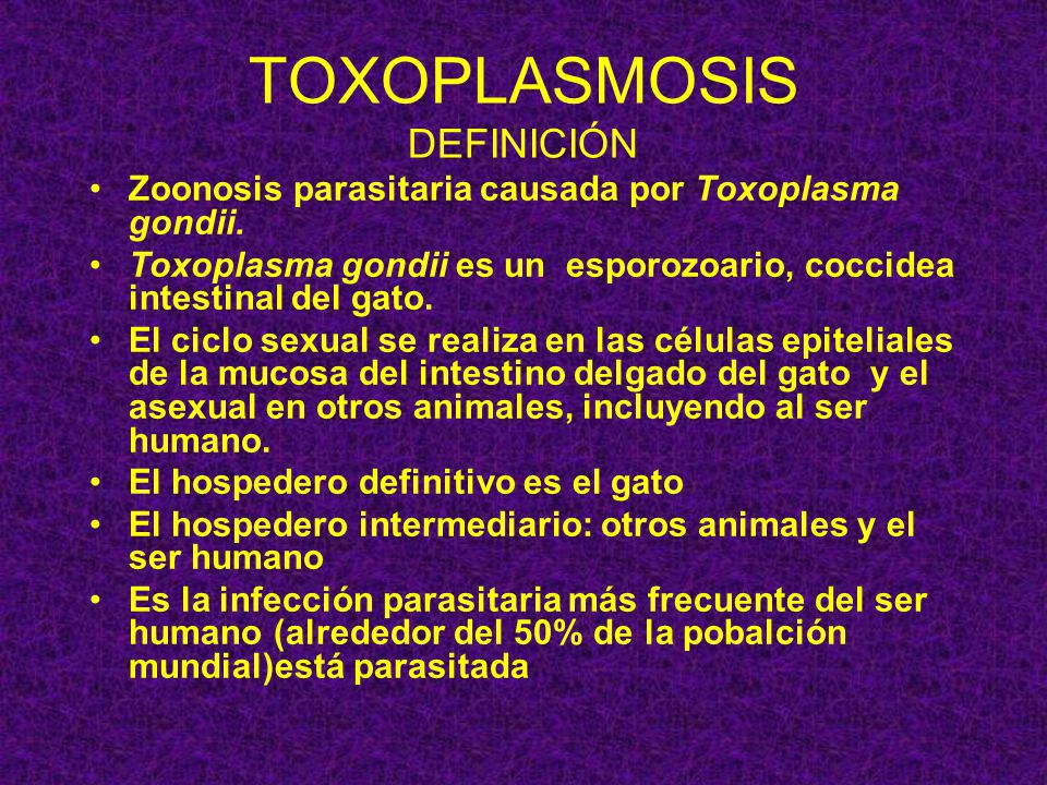 definicion de el toxoplasmosis definicion de el toxoplasmosis